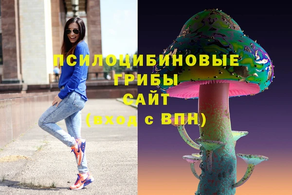 Альфа ПВП Абаза