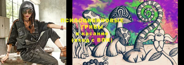 Альфа ПВП Абаза