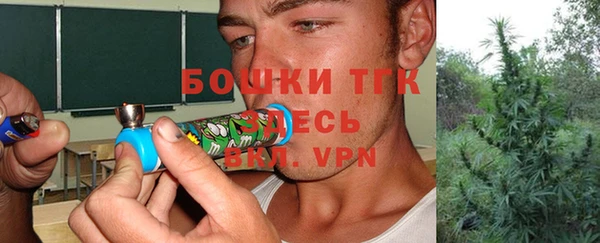 индика Абдулино