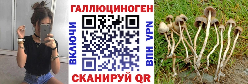 Псилоцибиновые грибы MAGIC MUSHROOMS  Цоци-Юрт 